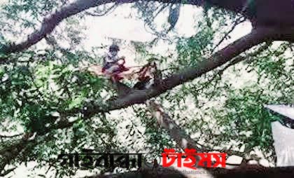 গ্রামবাসীর কঠোরতায় গাছের মগডালে কোয়ারেন্টাইনে ৭ যুবক!