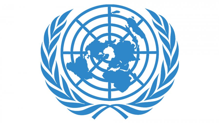 জাতিসংঘ নির্বাচনে পর্যবেক্ষক দল পাঠায় না