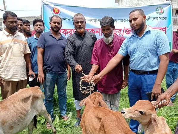 ভোলায় বিকল্প কর্মসংস্থানের লক্ষ্যে জেলেদের মধ্যে বাছুর বিতরণ