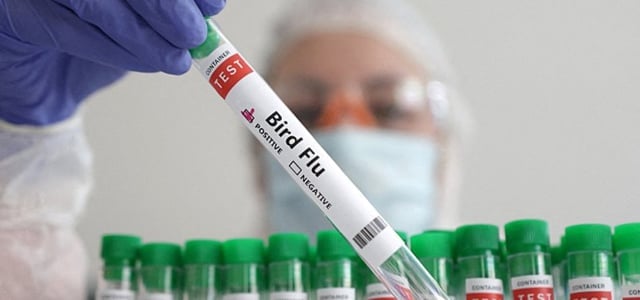 বার্ড ফ্লু সংক্রমিত প্রথম মানুষ নানা জটিলতায় মারা গেছে : ডব্লিউএইচও