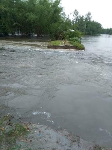 নীলফামারীর ডিমলায় বুড়ি তিস্তার বাঁধ ভেঙ্গে শতাধিক পরিবার পানিবন্দী
