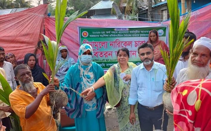 ভোলায় ৩০ হাজার নারিকেল চারা বিতরণ করা হচ্ছে