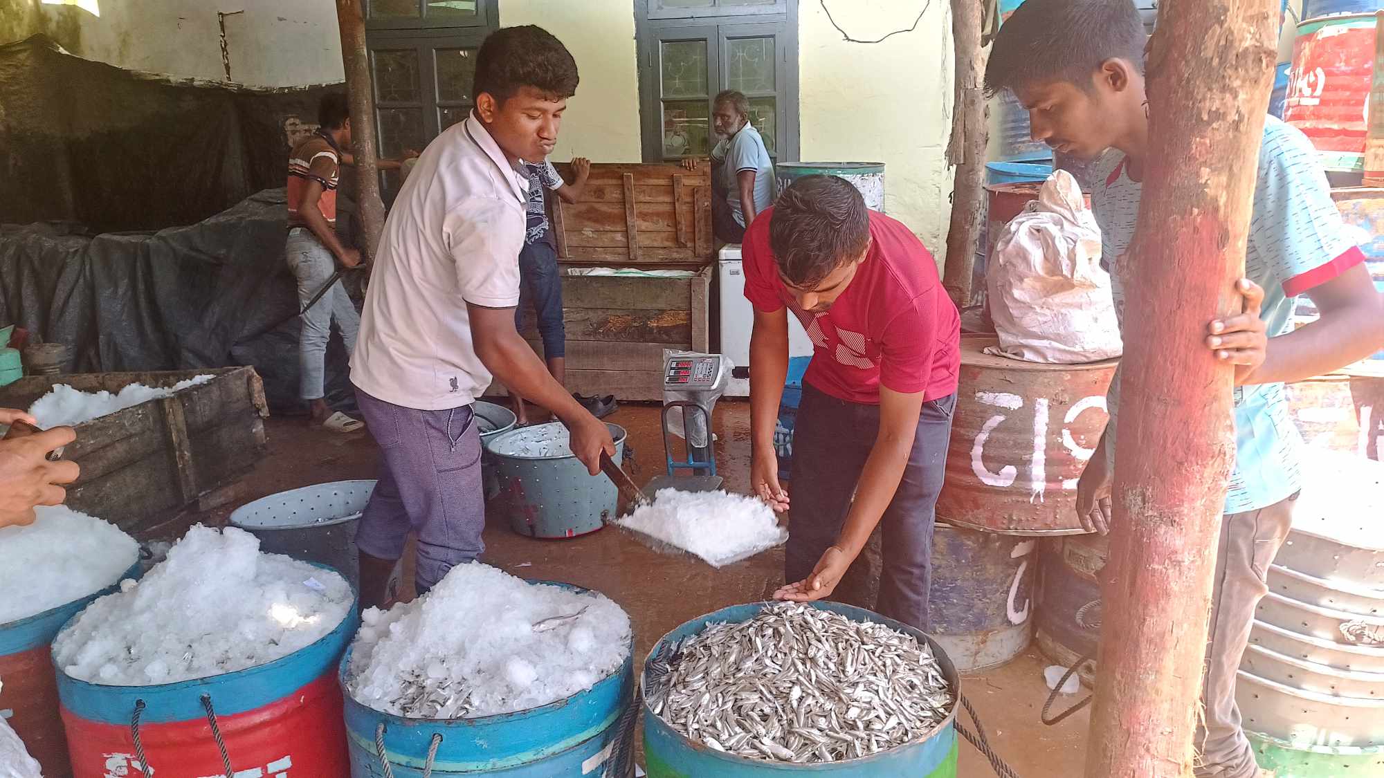 কাপ্তাই হ্রদে আশাব্যঞ্জক মাছ আহরণ: ফিরেছে জেলে ও ব্যবসায়ীদের প্রাণচাঞ্চল্য